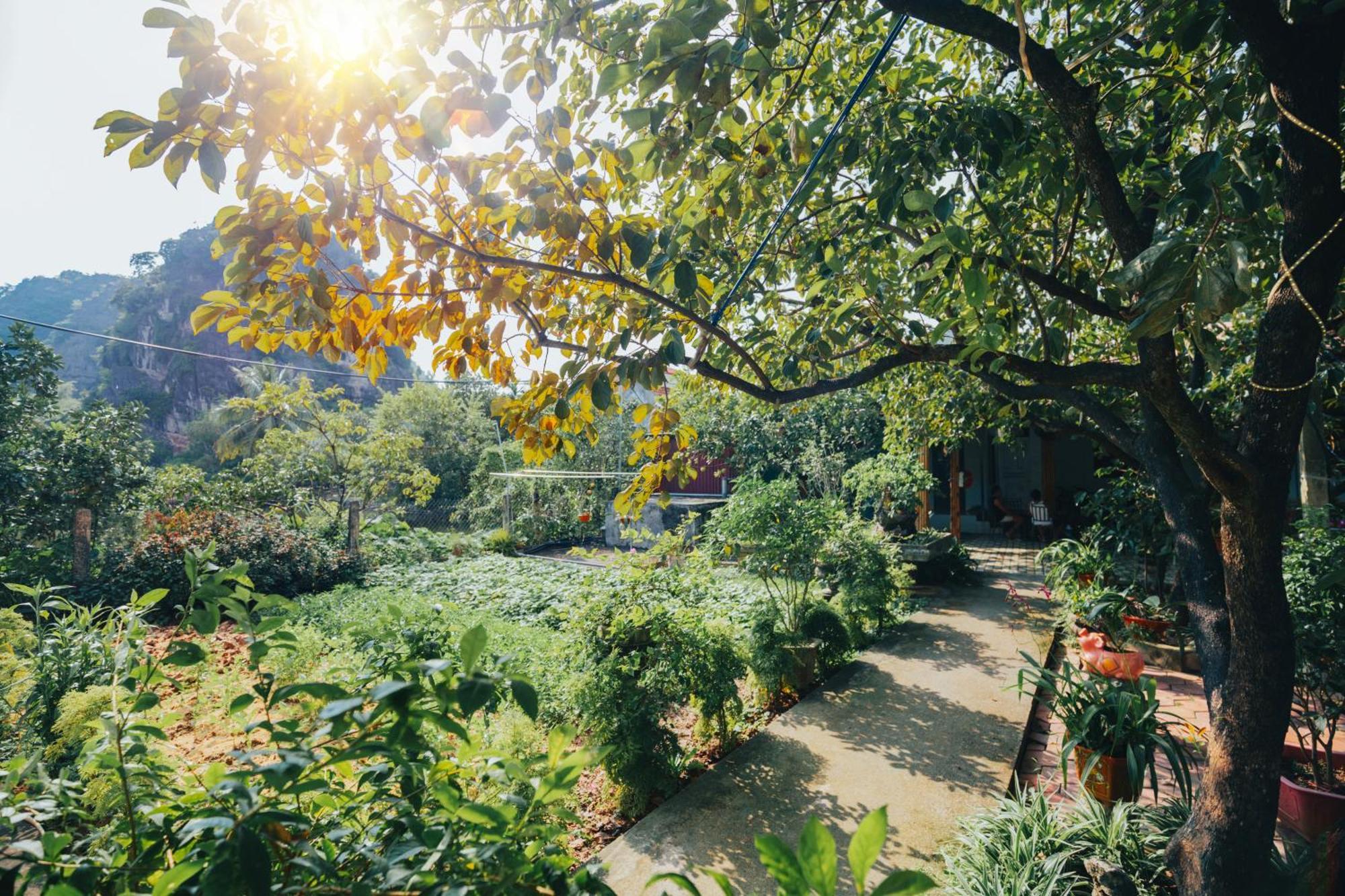 Blue Garden Homestay Ninh Bình Ngoại thất bức ảnh