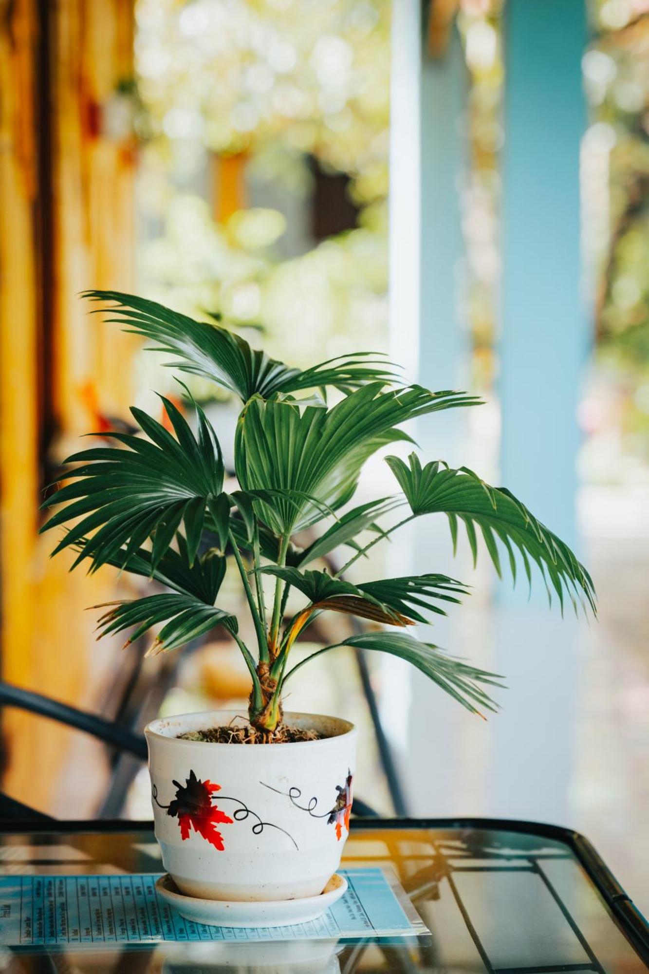Blue Garden Homestay Ninh Bình Ngoại thất bức ảnh