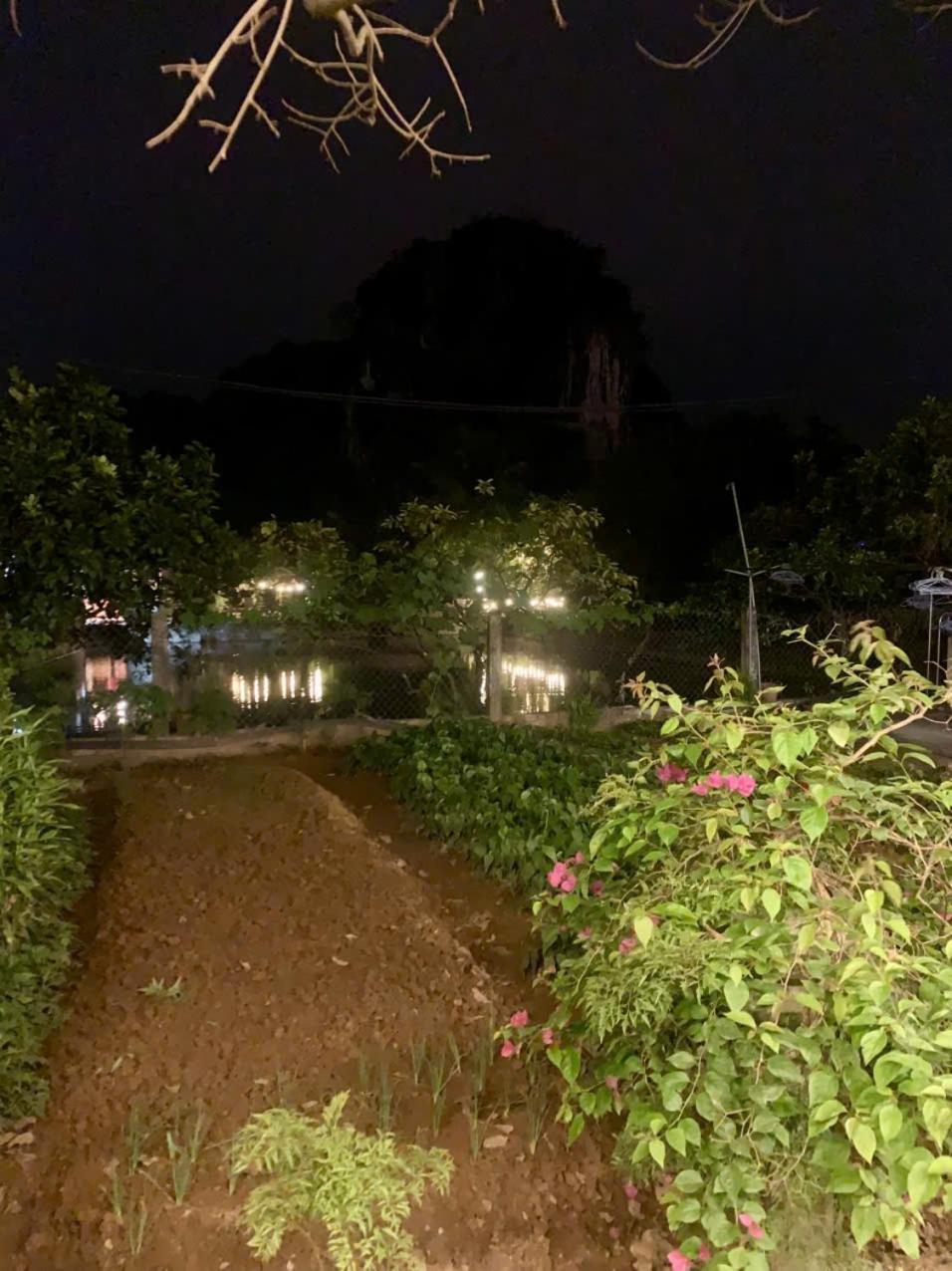 Blue Garden Homestay Ninh Bình Ngoại thất bức ảnh