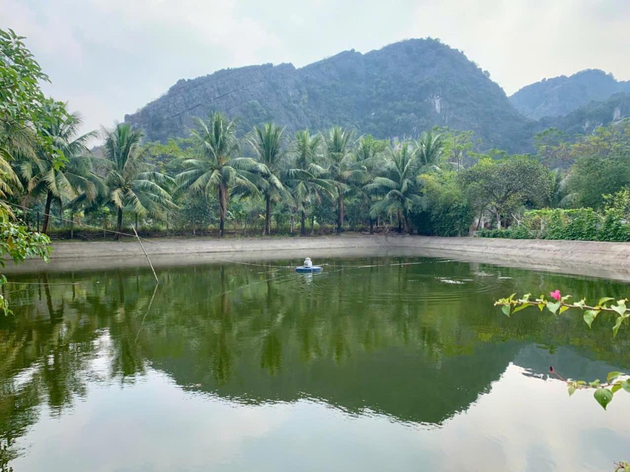 Blue Garden Homestay Ninh Bình Ngoại thất bức ảnh