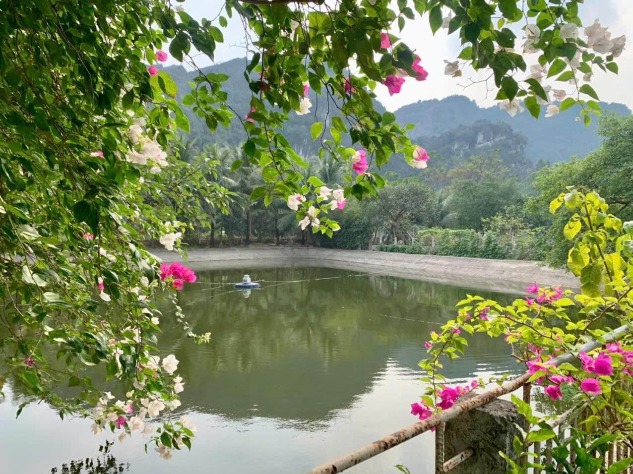 Blue Garden Homestay Ninh Bình Ngoại thất bức ảnh