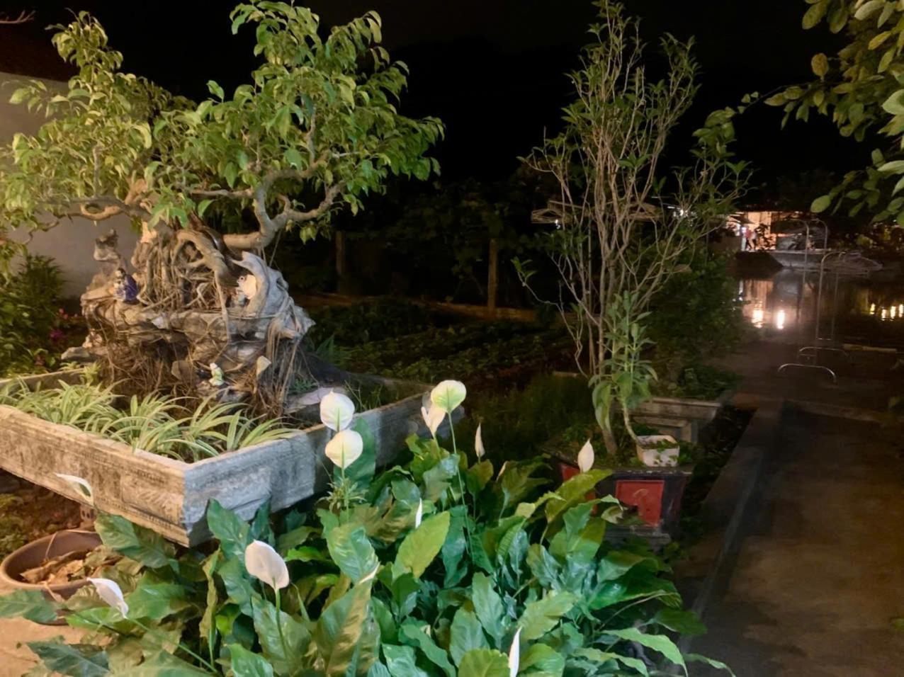 Blue Garden Homestay Ninh Bình Ngoại thất bức ảnh