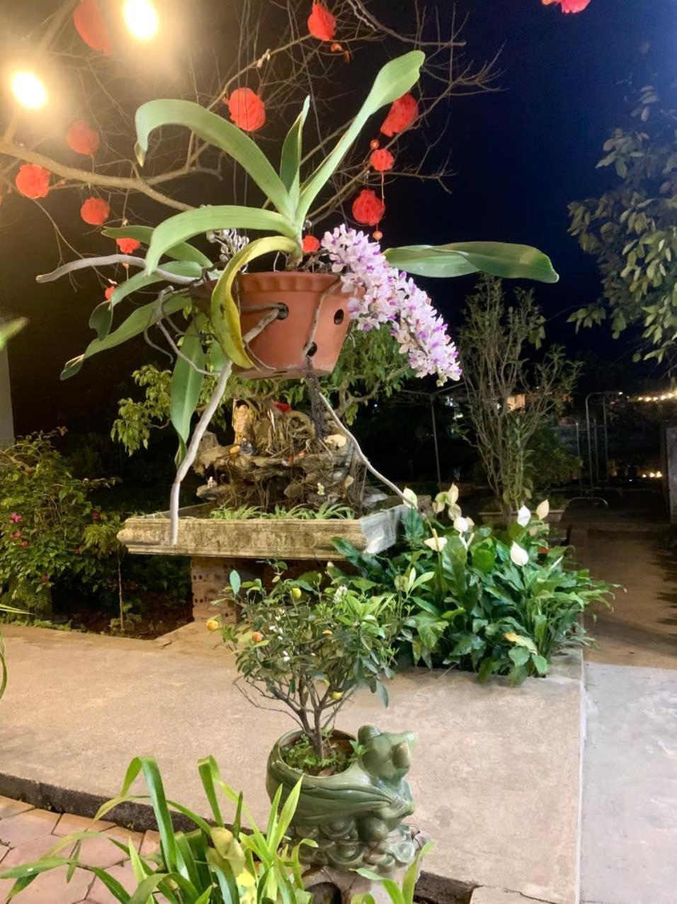 Blue Garden Homestay Ninh Bình Ngoại thất bức ảnh