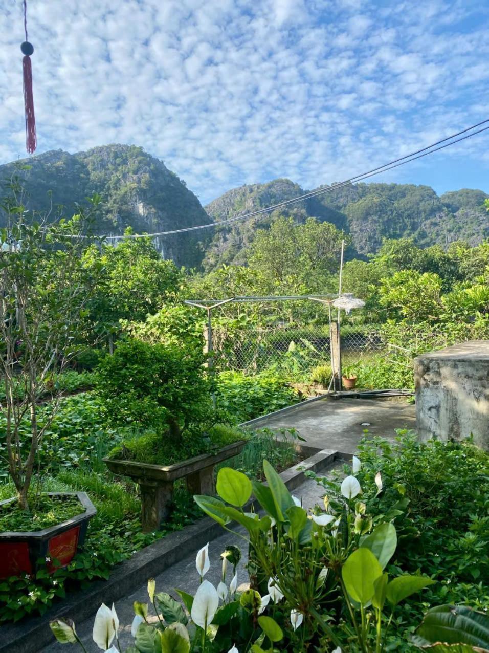 Blue Garden Homestay Ninh Bình Ngoại thất bức ảnh