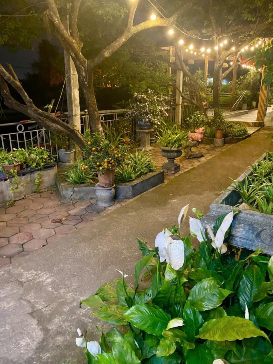 Blue Garden Homestay Ninh Bình Ngoại thất bức ảnh