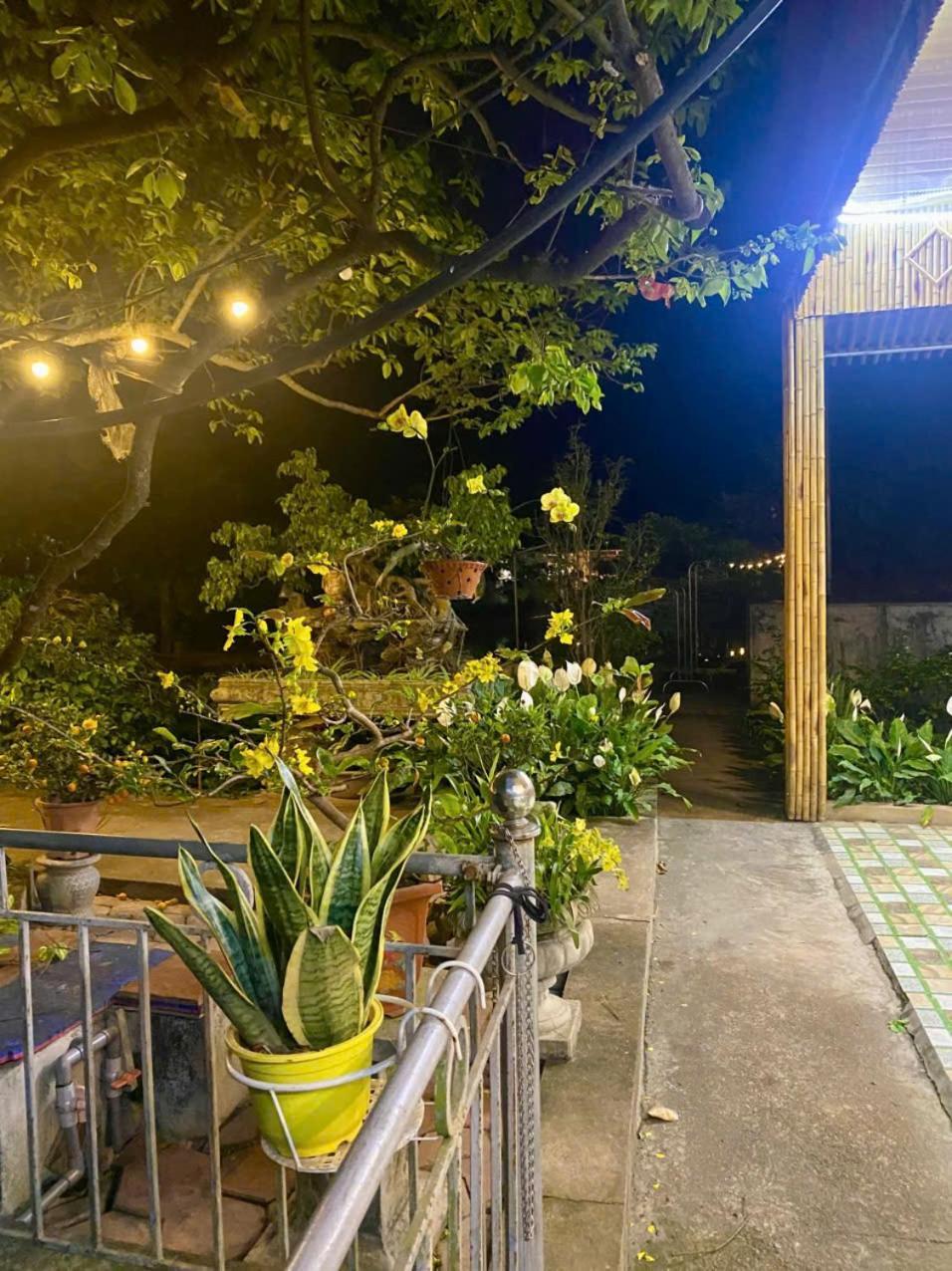 Blue Garden Homestay Ninh Bình Ngoại thất bức ảnh
