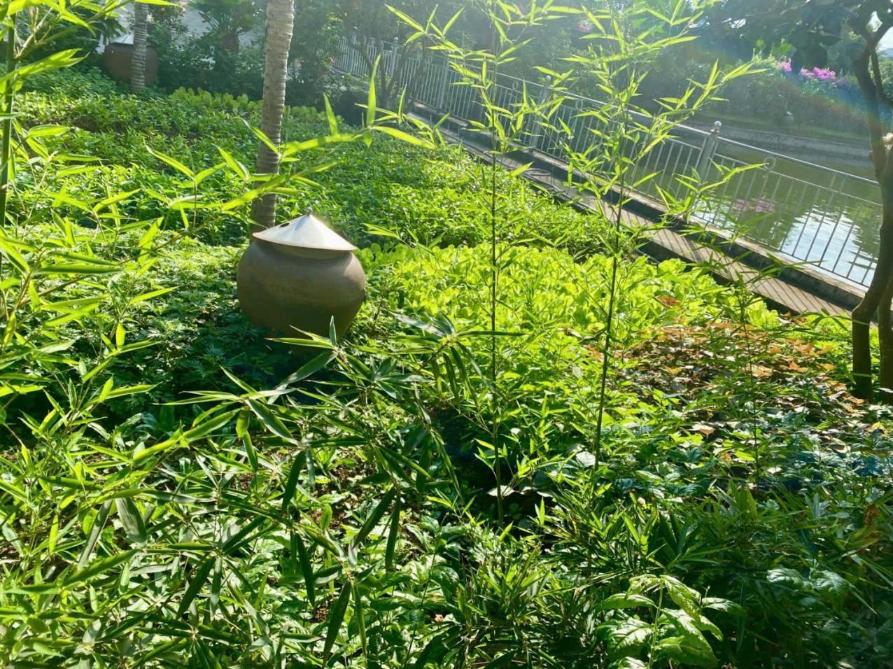 Blue Garden Homestay Ninh Bình Ngoại thất bức ảnh